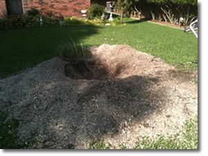 Stump Removal in Garland, TX