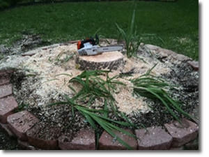 Stump Grinding in Garland, TX