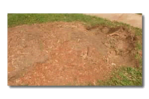 Garland stump Removal
