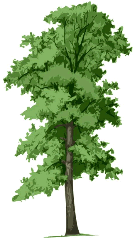 Garland Certified Arborist